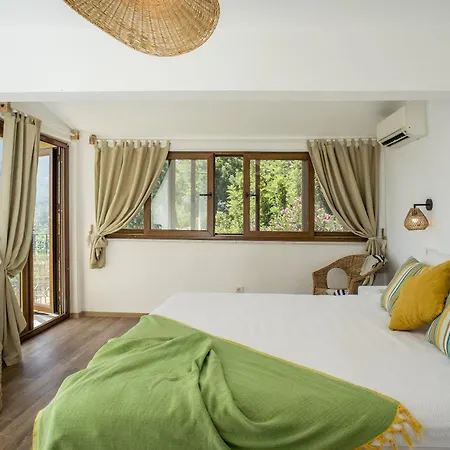 Teras 1, Florya