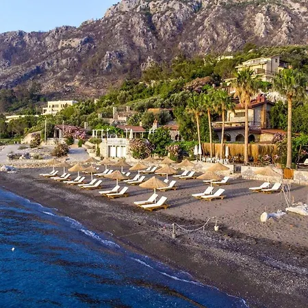Teras 1, Florya