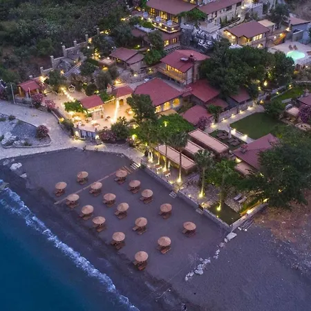 Teras 1, Florya *